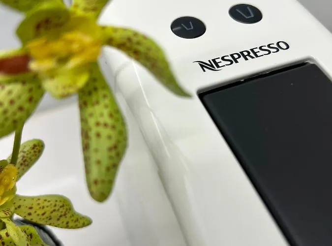 Savannah Apartment, By Bolhao Residences Διαμέρισμα *