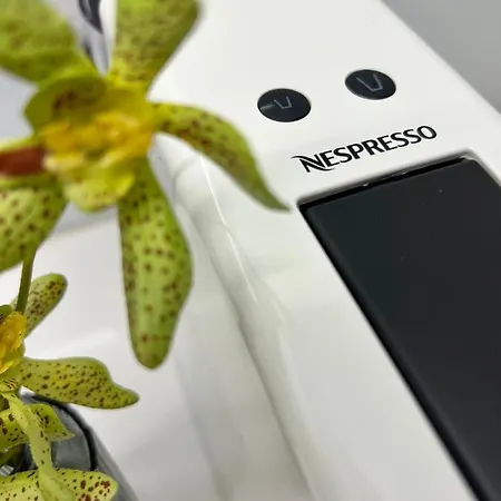 Savannah Apartment, By Bolhao Residences Appartement *